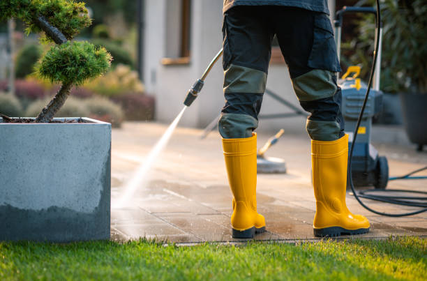 Roof Power Washing Services in Marion, OH